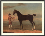Racehorse Victorius Prints by R. Roper