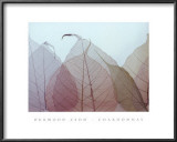 Chardonnay Posters by Durwood Zedd