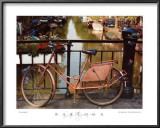 Canal Bike Poster by Dennis Barloga