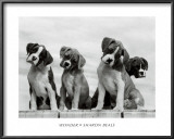 Wonder Prints by Sharon Beals