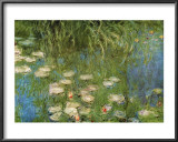 Water Lilies of the Orangerie as Giverny Print by Claude Monet
