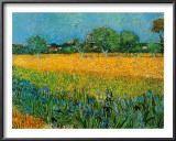 View of Arles with Irises Art by Vincent van Gogh