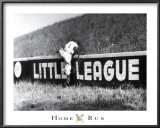 Home Run Posters