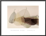 Chablis Prints by Durwood Zedd