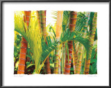 Bamboo Ballet Prints by Maureen Love
