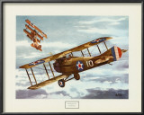 French Spad, 1916 Prints by Alfred Owles
