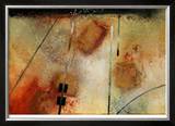 Arial View Limited Edition Framed Print by Herbert Davis