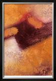 Amber Study II Limited Edition Framed Print by Herbert Davis