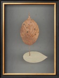 Assemblage No. 78 Posters by John Watson