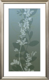 Ascending Vine II Prints by Loka 