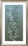Ascending Vine I Poster by Loka 