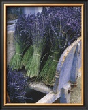 Lavender Harvest Prints by Gunter Rossenbach