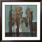 Perfecto Prints by Luis Solis