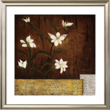 Orchid Melody II Prints by Teo Vineli
