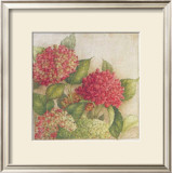 Hortensia II Posters by Vincent Jeannerot