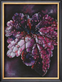 Heuchera After Rain Art by Sue Warner