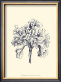 Indigo Kelp III Art