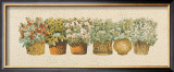 Basil Poster by Joan Sanders