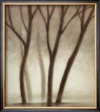 Forest II Prints by Hess 