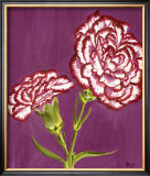 Purple and White Carnations Posters by Elise Ferguson