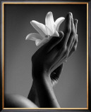 Caress Prints by Cédric Porchez