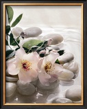 Spring Retreat III Posters by Christine Elizabeth