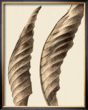 Turning Leaves I Prints by Jeff Friesen