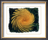Coup de Foudre III Prints by Giancarlo Riboli
