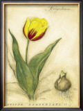 Keizerskroon Tulip Print by Meg Page
