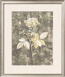 Silver Rose II Pôsteres por Antonietta Vernice