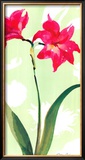 Asian Lily Posters by Martha Collins