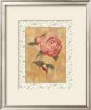 Antique Peony II Posters by Linda Hanly