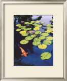 Koi Pond I Poster by Maureen Love