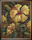 Hawaiian Ladies Poster by Marshall Banks
