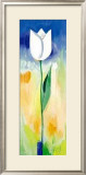 Single White Tulip Posters by Ingrid Sehl