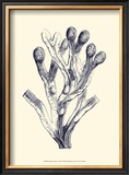 Indigo Kelp II Posters