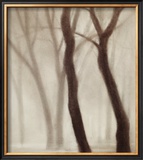 Forest III Posters by Hess 