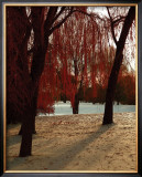 Autumn Snow I Prints by Alicia Soave