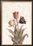 Tulip Companion II Posters by Dexter Mcgowan