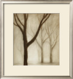 Forest I Poster by Hess 