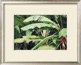 Tropical Harmony Posters by Glenn Cernosek