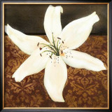 White Lily Art by Tamara Wright