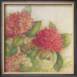Hortensia II Posters by Vincent Jeannerot