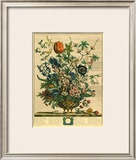 February Prints by Robert Furber