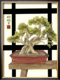 Zen Bonsai IV Prints by Jennifer Goldberger