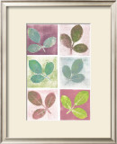 Leaf Impressions Print by Eileen Crowell