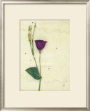 Lizzieanthus Posters by Kidney 
