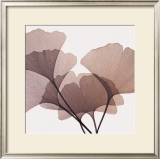 Ginkgo Leaves I Prints by Steven N. Meyers