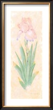 Iris Soliloquy I Prints by Nancy Kaestner