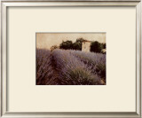 Lavender Prints by Amy Melious